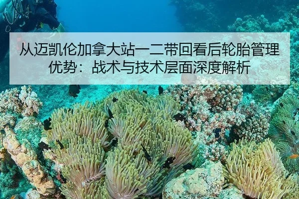 从迈凯伦加拿大站一二带回看后轮胎管理优势：战术与技术层面深度解析